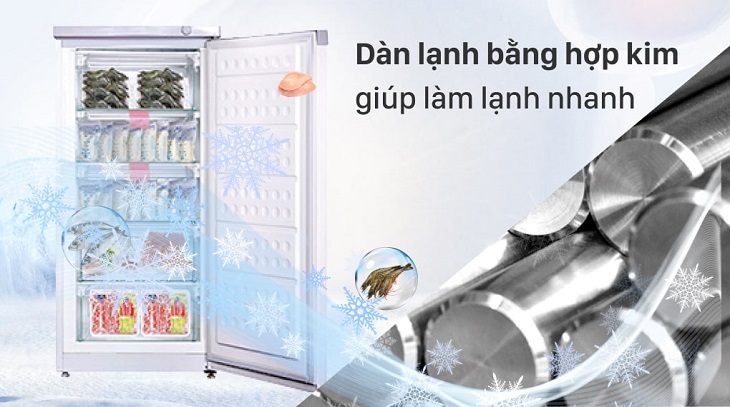 Dàn lạnh đa dạng giúp khách hàng có nhiều lựa chọn tủ đông phù hợp