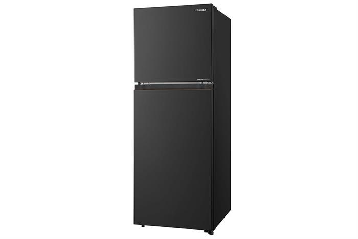 tu-lanh-toshiba-inverter-240-lit-gr-rt310we-pmv-68