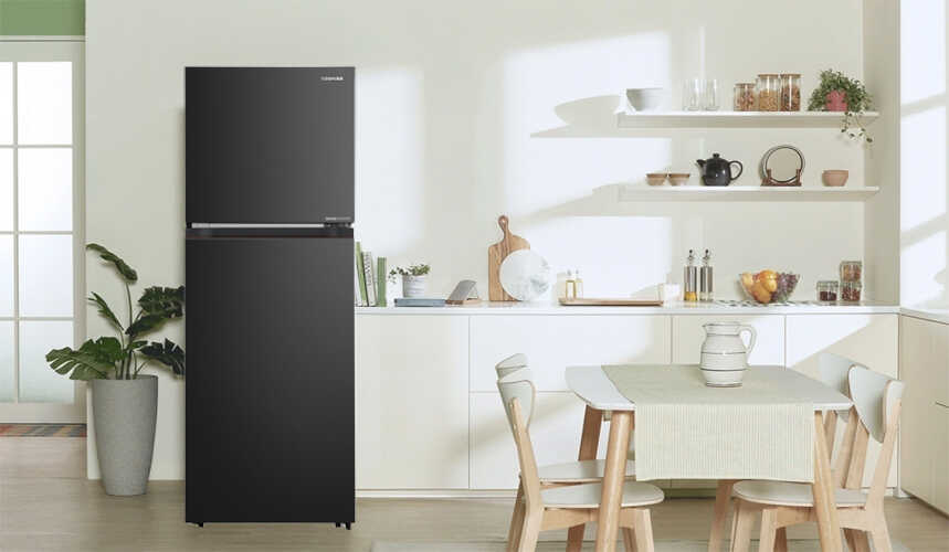 tu-lanh-toshiba-inverter-271-lit-gr-rt349we-pmv-68