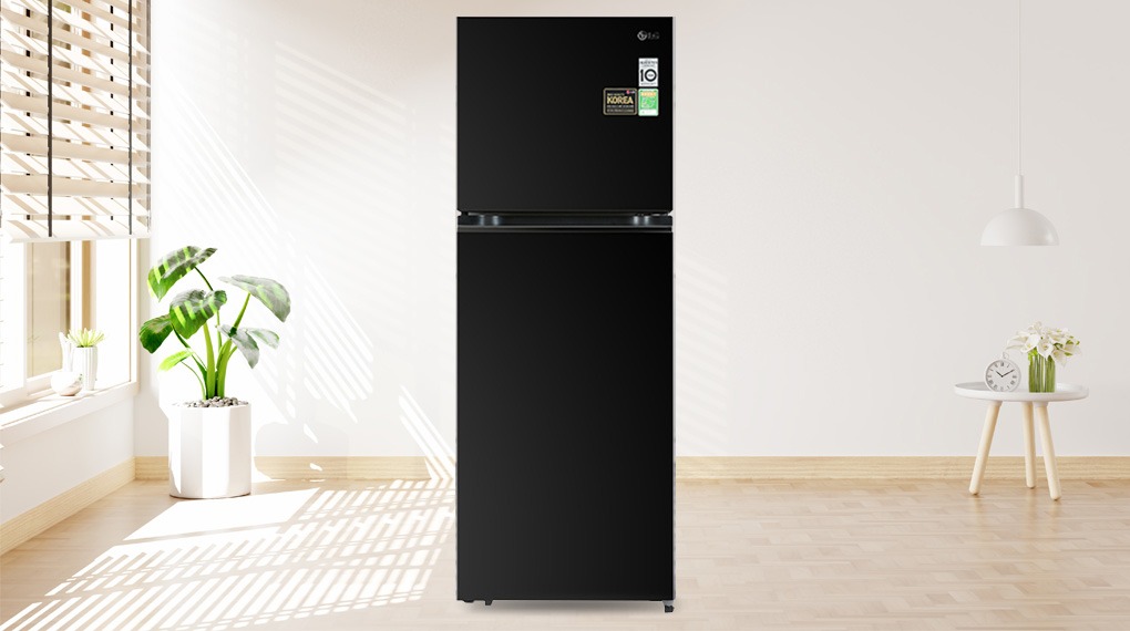 tu-lanh-lg-inverter-315-lit-gn-m312bl