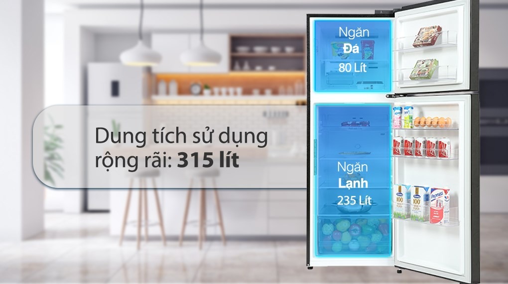 tu-lanh-lg-inverter-315-lit-gn-m312bl