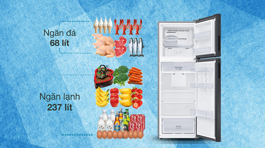 tu-lanh-samsung-inverter-305-lit-rt31cg5424b1sv