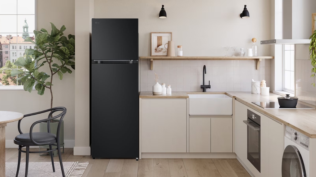 tu-lanh-lg-inverter-266-lit-ltb26blm