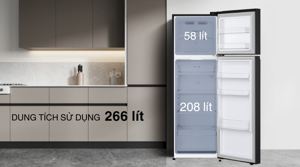 tu-lanh-lg-inverter-266-lit-ltb26blm