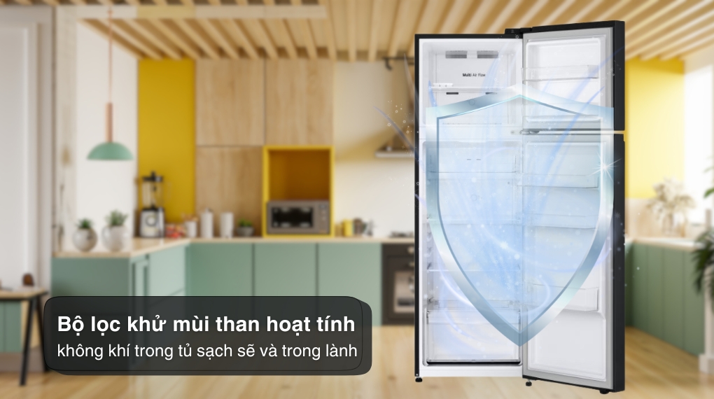tu-lanh-lg-inverter-266-lit-ltb26blm