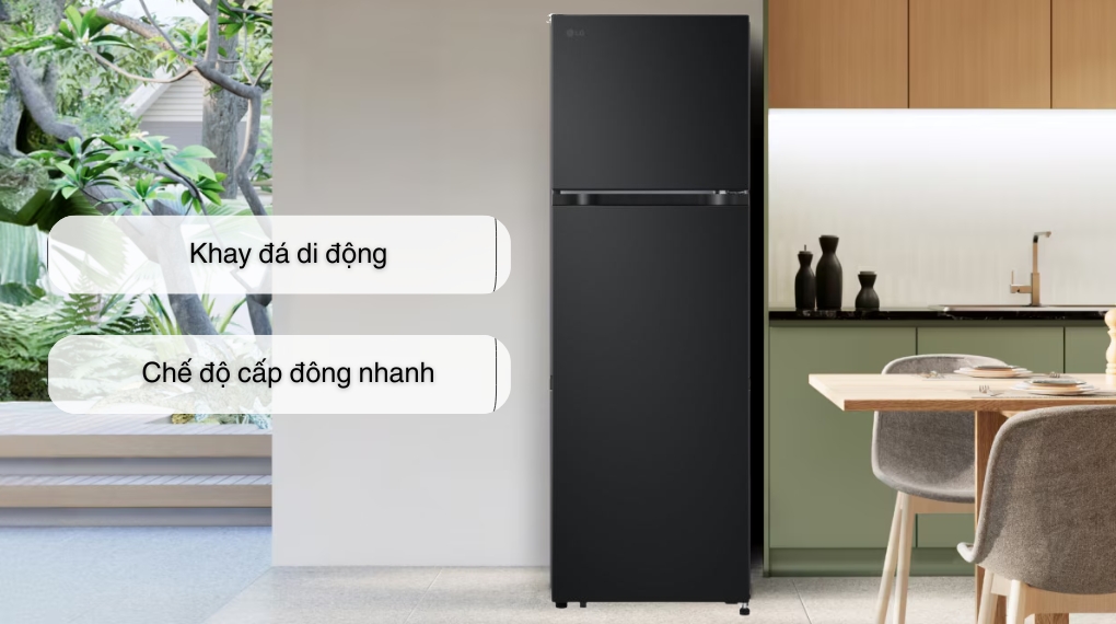 tu-lanh-lg-inverter-266-lit-ltb26blm