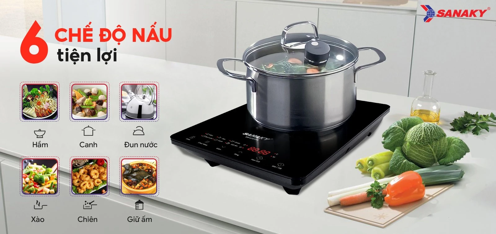 bep-dien-tu-don-sanaky-vh-6101hy