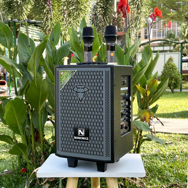 loa-di-dong-nanomax-s-100