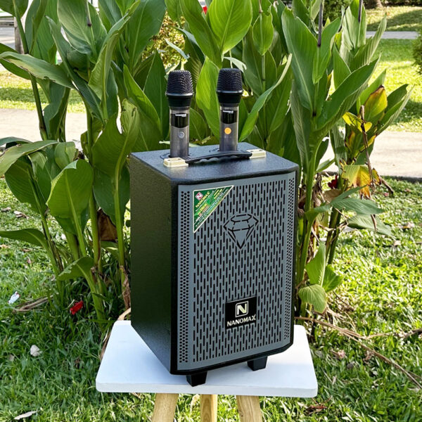 loa-di-dong-nanomax-s-100