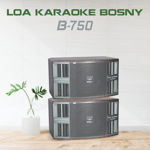 loa-nam-bosny-b-750