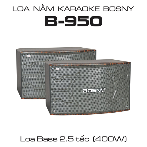 loa-nam-bosny-b-950