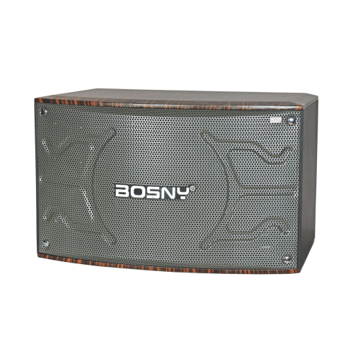 loa-nam-bosny-b-950