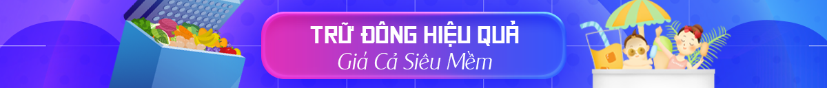 Tủ đông